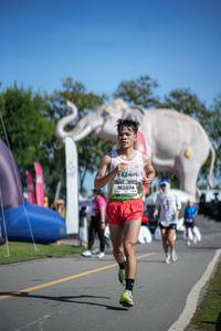 BIB: 
                            <button type="button" onclick="openModal(26542310)" class="btn btn-primary btn-sm float-right btn-popup" data-toggle="modal" data-target=".modal-high-quality">
                        <i class="fas fa-shopping-cart"></i> Add to Cart
                    </button>
                                            <button type="button" onclick="isThisMe(26542310, true)" class="btn btn-success btn-sm float-right btn-popup btn-isme hidden" data-toggle="tooltip" data-placement="bottom" title="นี่คือรูปของคุณใช่ไหม คลิกที่นี่เพื่อเอาเข้าอัลบั้ม">
                        <i class="fas fa-plus"></i> Add to album
                    </button>
                    <button type="button" onclick="isThisMe(26542310, false)" class="btn btn-warning btn-sm float-right btn-popup btn-isnotme hidden">
                        <i class="fas fa-ban"></i> Remove from album
                    </button>